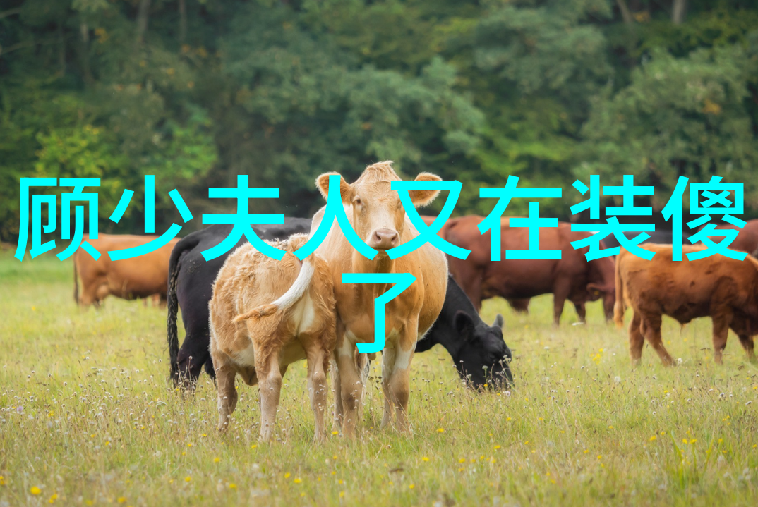 顾少夫人又在装傻了（甜蜜时光里的智慧千金）