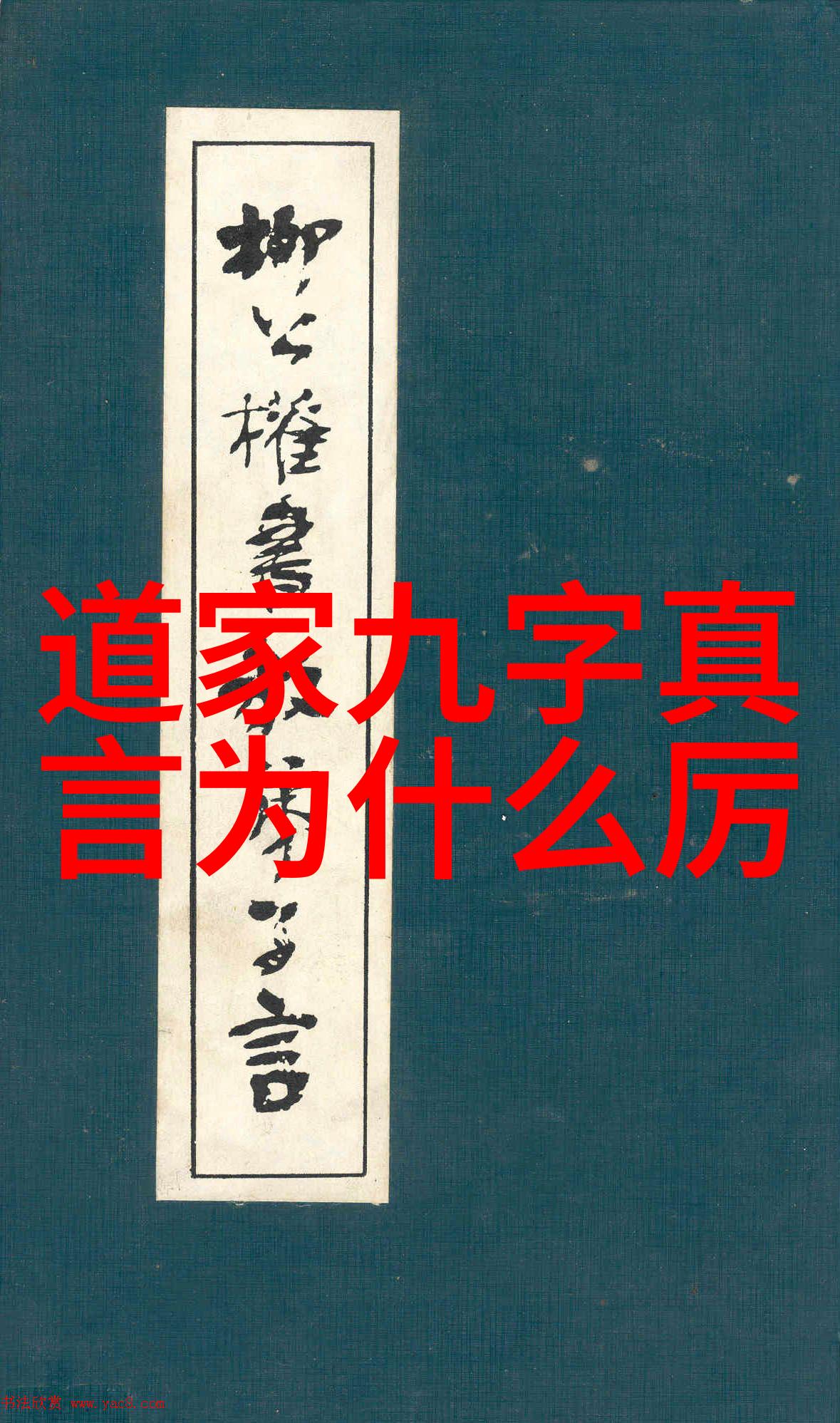 交佩动物世界探索人与畜禽间情感连结的新科技