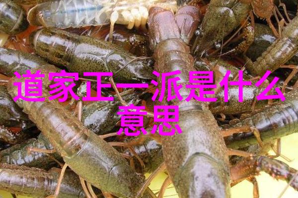 天赐智慧悟透宇宙的奥秘
