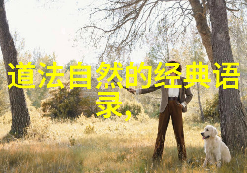 从笔尖到纸上浅议沁园春雪之行草书艺术价值