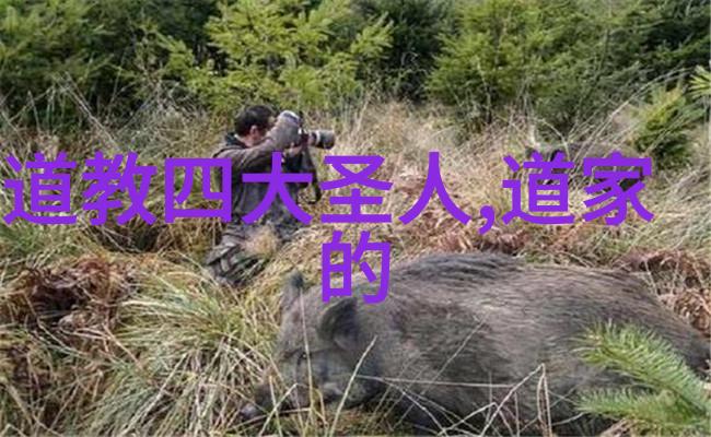 缘分若梦道家经典中的迷雾之谜