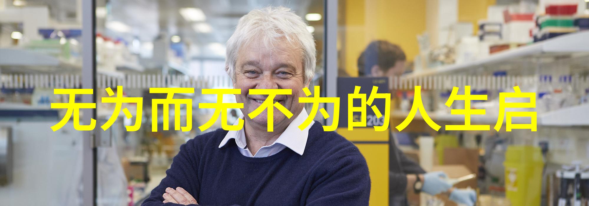 书法艺术20字精华展现古今韵味