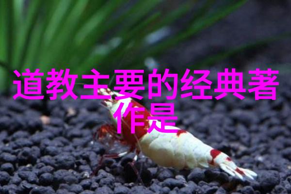 道家打坐的正确姿势-静心之座探索道家坐禅的精髓