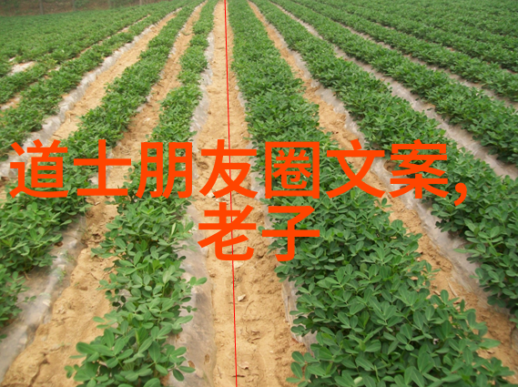 艺术赏析60字带图片-细味brushstroke色彩与动态的对话