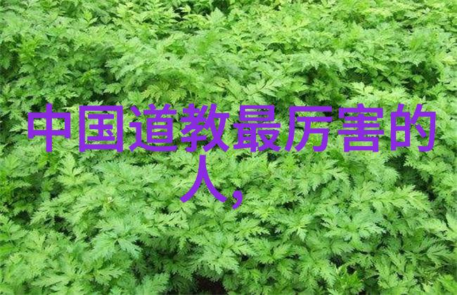 天道万象洞悉宇宙之理