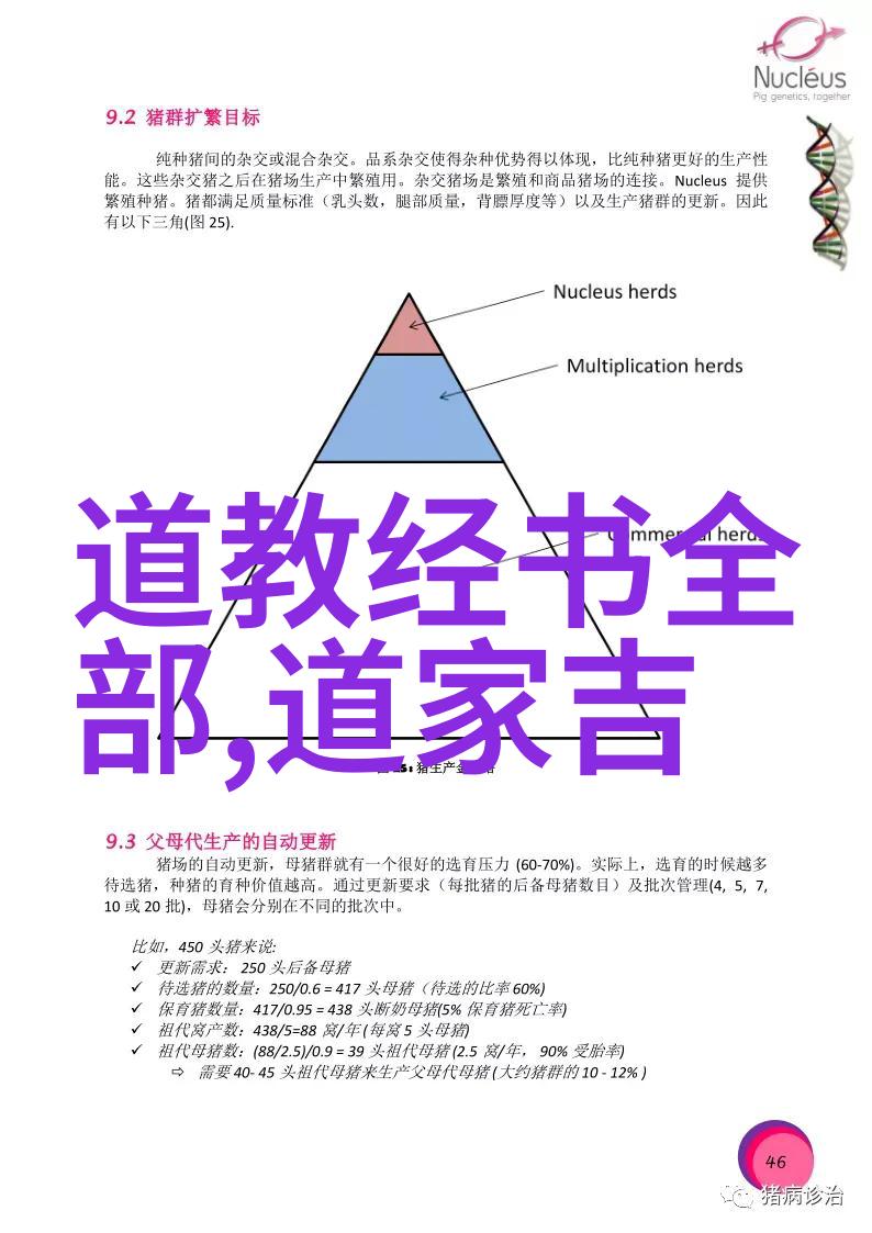 历史道教名人的光辉足迹探索古代修行者的智慧与精神