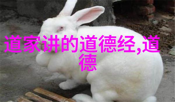 炼丹炉中的人生修仙之路的奇幻探索