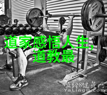 如何巧用比喻与拟人现代诗歌中的形象塑造技巧