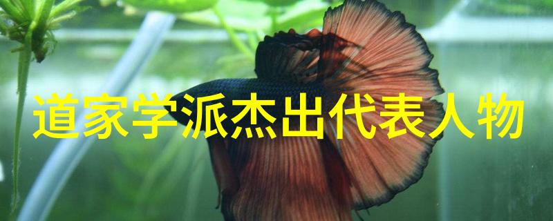 道家思想代表人物及其主张我来告诉你老子庄子与道德经他们的智慧如何塑造了中国文化