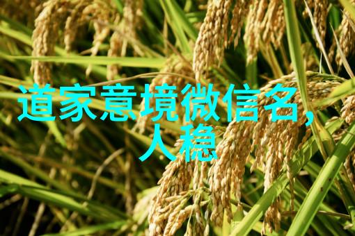 道教名师张道陵道教创始人张天师的神秘生活