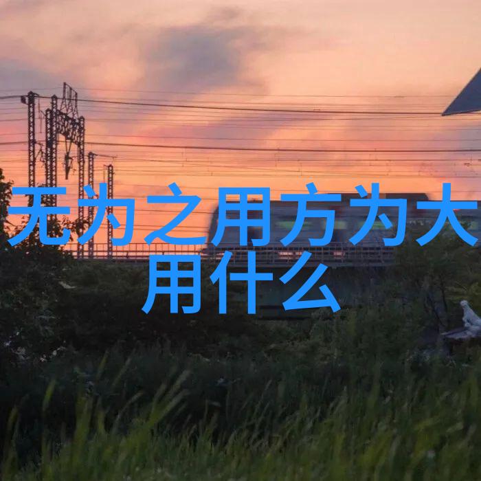 道法自然解锁古老文化的深度之谜