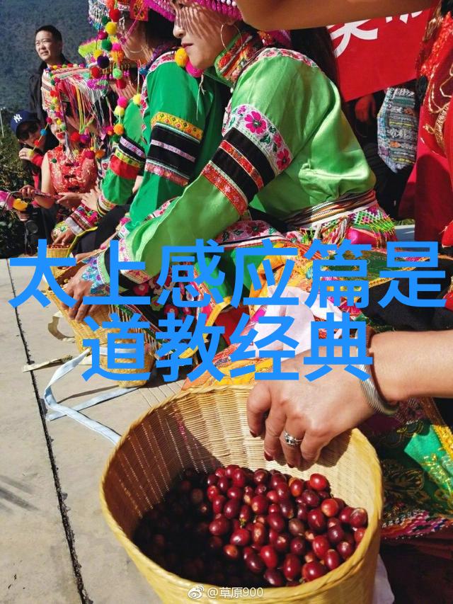 文明之光隐喻中的无为与责任承担