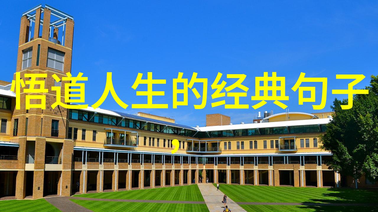 道德经拼音版学习指南轻松掌握古文知识