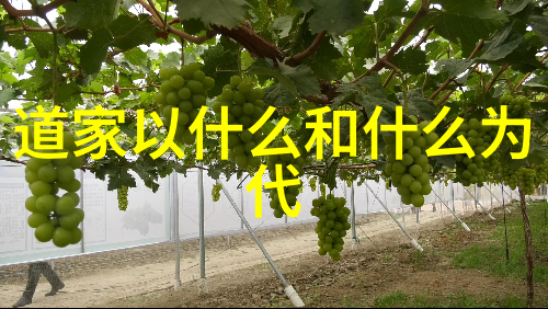 道家法术的自学之道探索内在力量的秘密