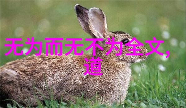孔子释迦牟尼老子文明之源的智者