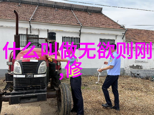 道教探究-当今道家代表人物守护传统引领未来