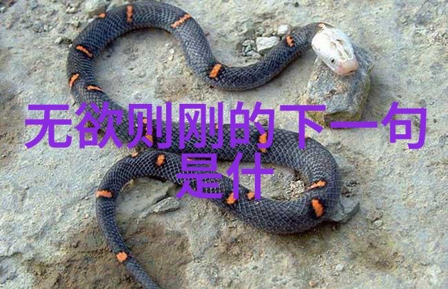 道家人物简介我与老子一个现代人的道家人生探索