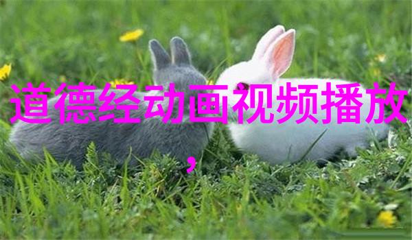 常无为而无不为的智慧深度解读一种平衡生活状态的哲学