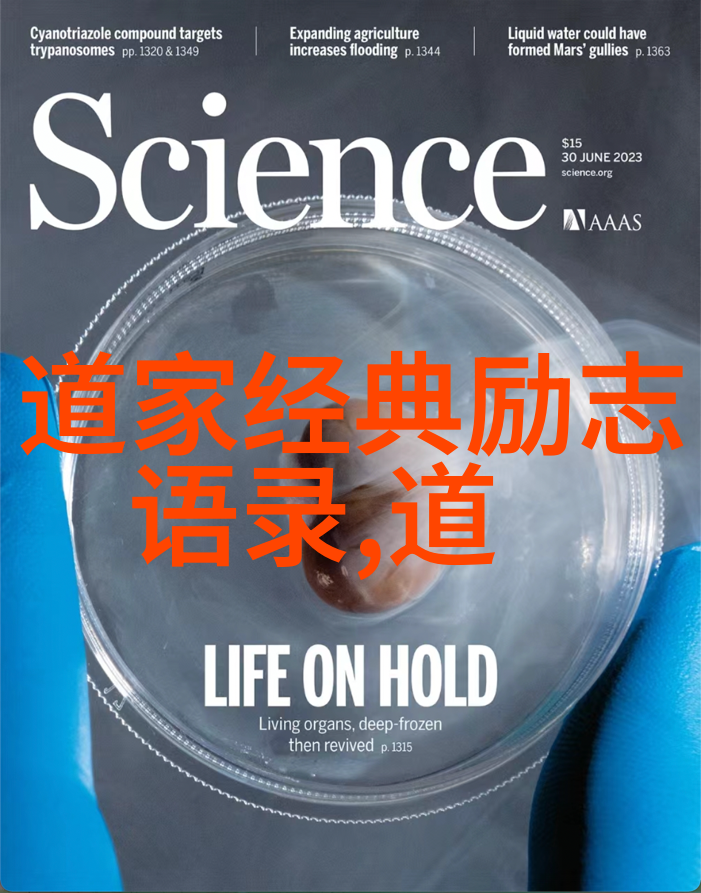 宋代词人的情感绘声绘影爱的诗篇与时光的长卷