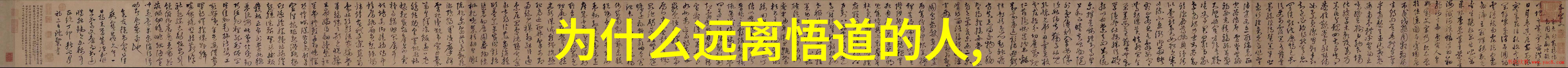 大道之行也走自己的路别人不懂