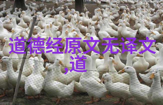 道家学说创始人了解老子的哲学思想