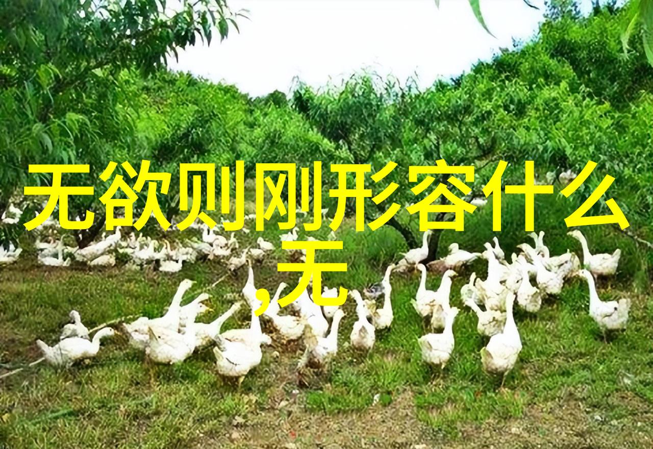 道教入门之三部经典探究