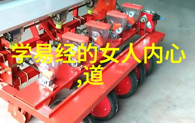 皇权神授还是民心所向帝王术的选择及其后果