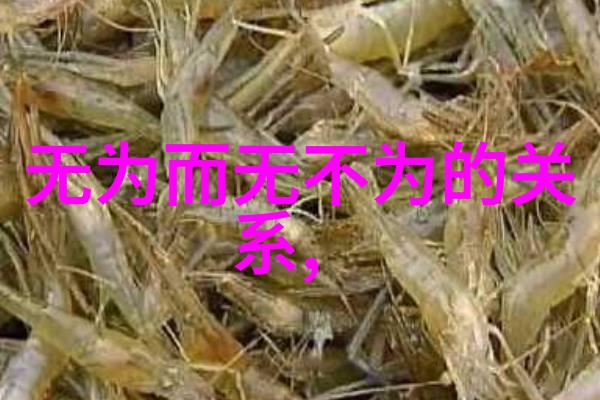 无为故无败逆袭的智慧与勇气