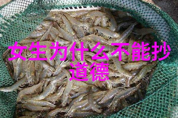 无为之治最好的解释-淡泊明志揭秘无为之治的哲学精髓