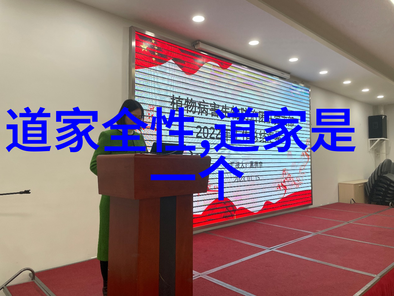 智者王弼解读庄子揭示其内涵深度