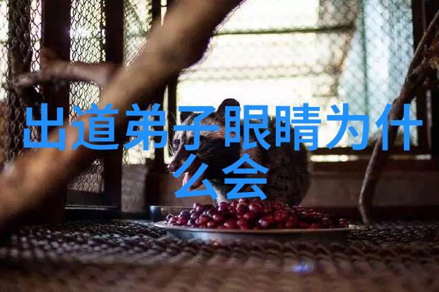 书画印章常识中国传统文化艺术