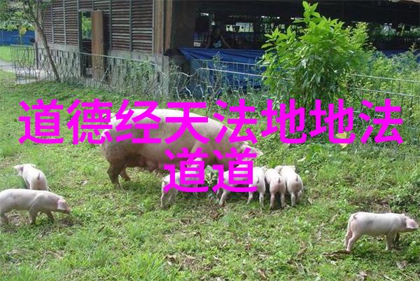 悠扬诗韵宋词大全300首精选背后的历史故事