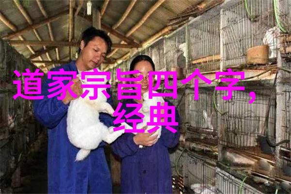 无为而治道德经中对权力的新理解