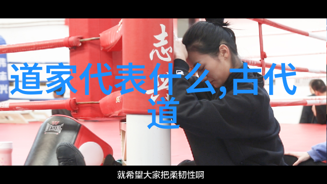 天籁之音中的哀鸣