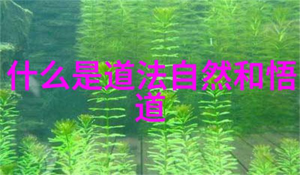 道德的裂痕探索德与道的反差