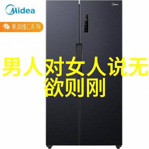 儒道思想的对话与融合