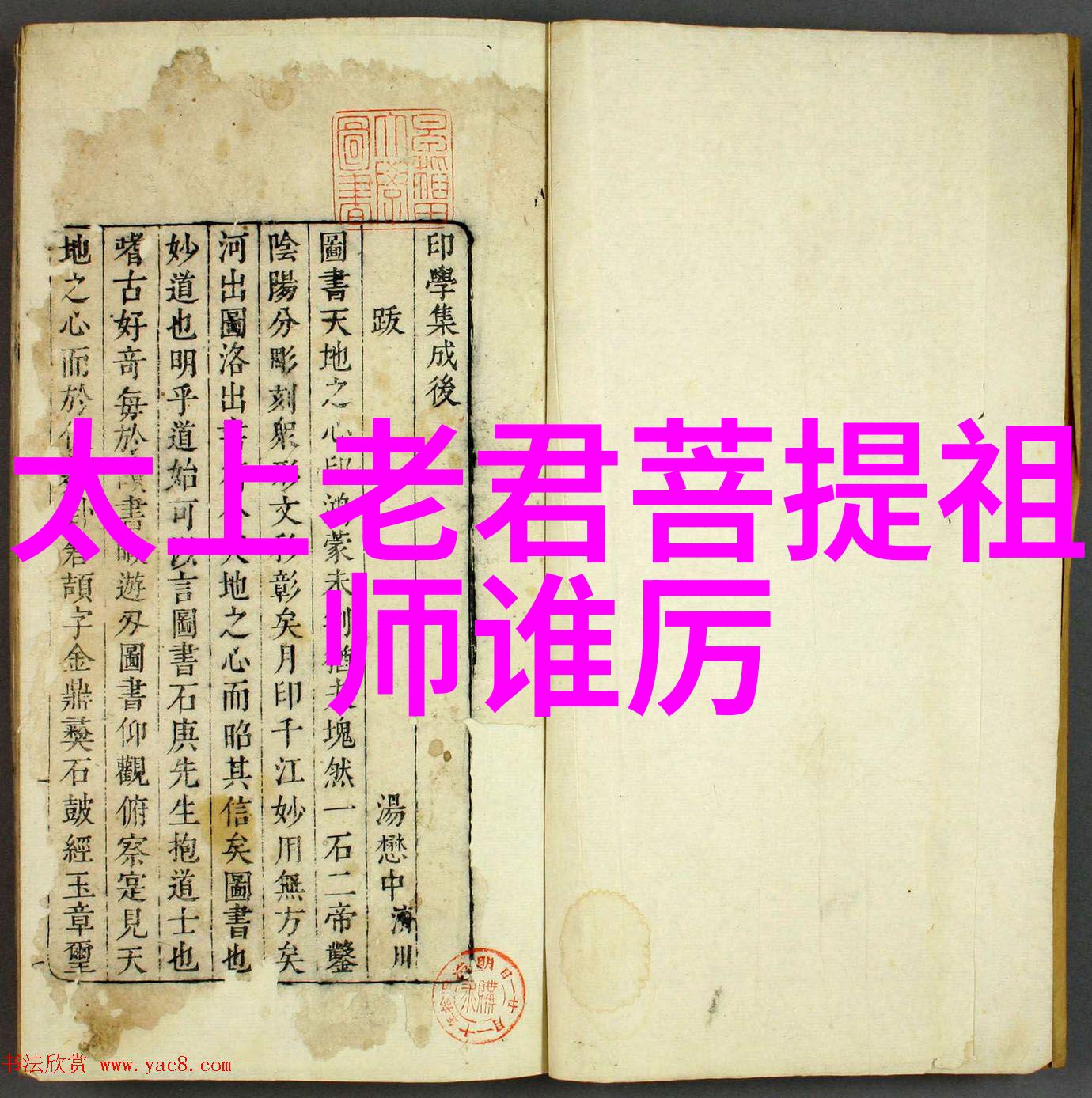 无为生活中的智慧与艺术从忍耐到放手的例证