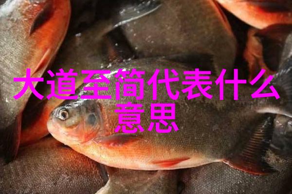 道教经典研究探索内丹修炼与天人合一的哲学体系