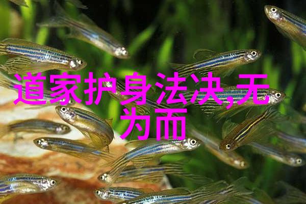 仙缘探寻如何识别自身是否具备成仙潜质