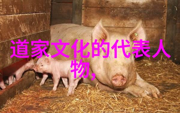 哲学探索-大道至简生命智慧的哲学根源