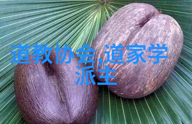 中国道教协会咨议委员会主席任法融道长乃是众多道士念的经文之大师他的修炼功力非凡仿佛能将天地间的一切精