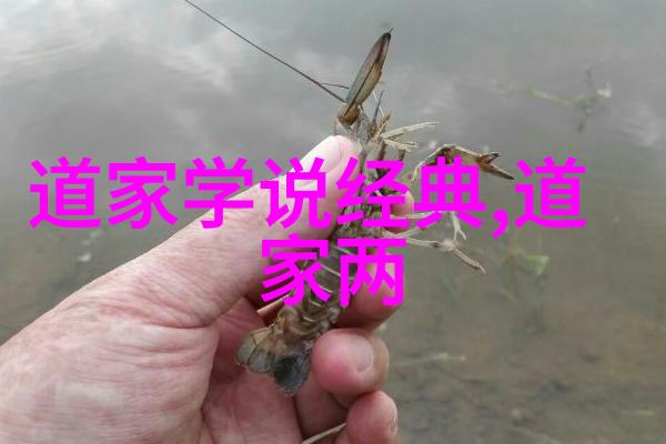 夜里十大禁用直播iOS设备上的隐私保护指南