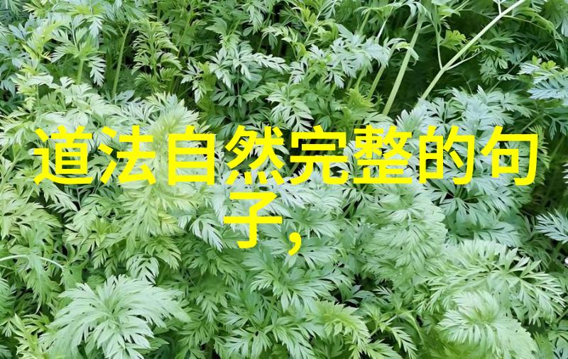 道家的黄石公与庄子的寓意深度解读
