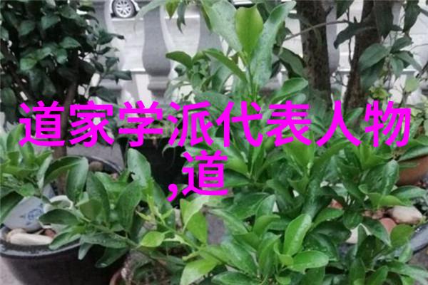 神秘探究-揭秘开天眼口诀一天就会通往智慧之门的奇妙秘籍