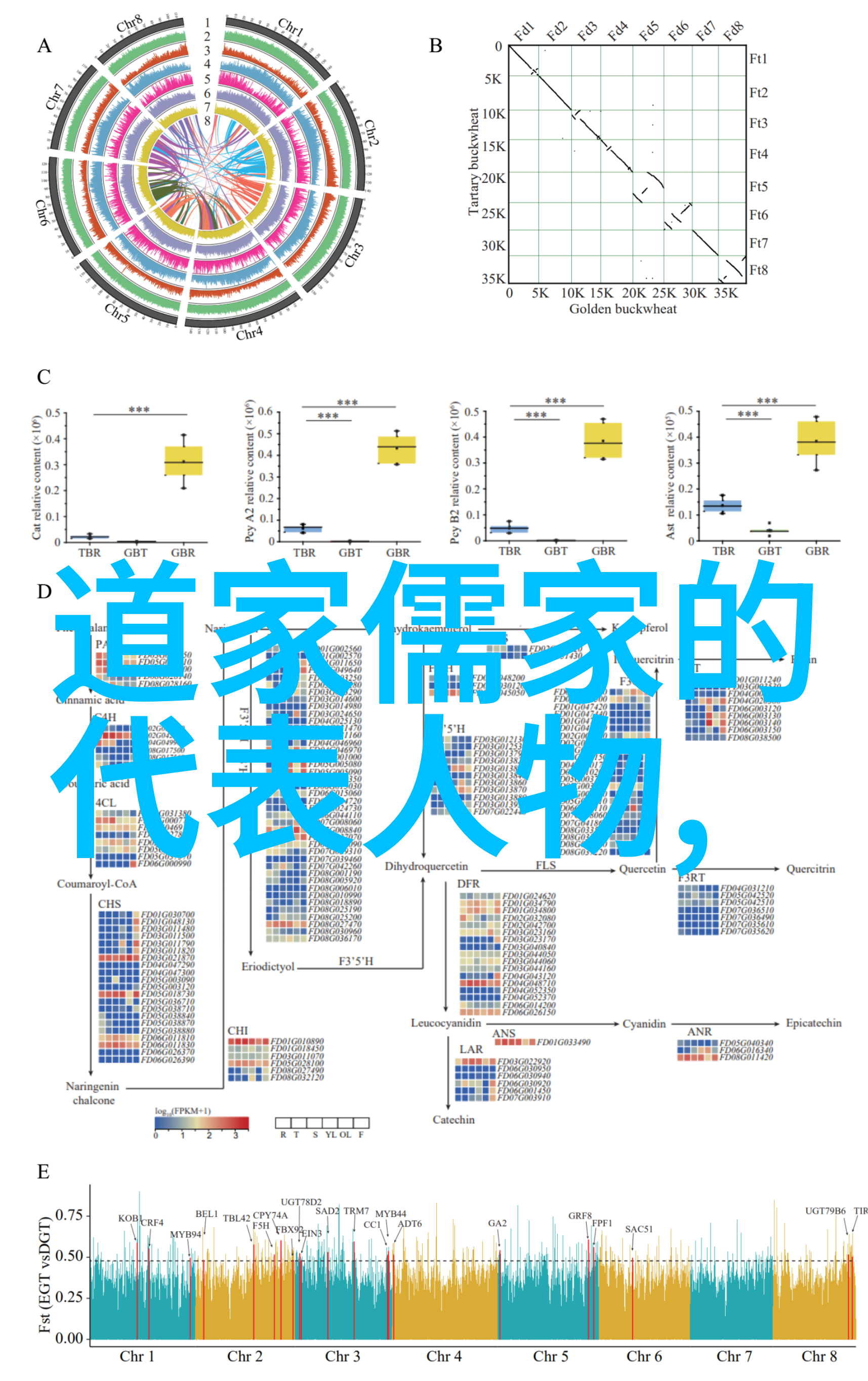 生活点滴我在追逐那缓慢而有力的C