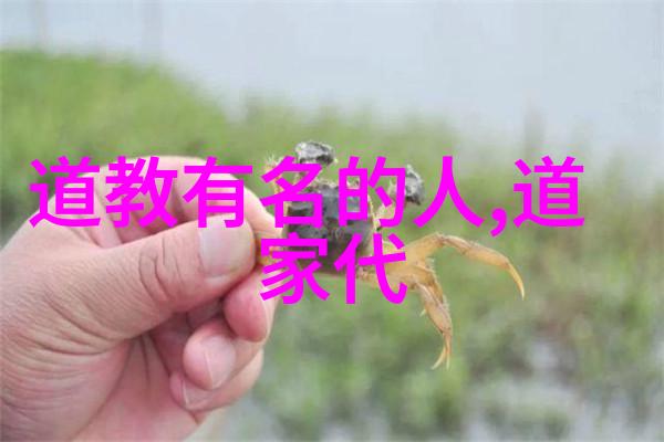 学派与学说的区别-从哲学到科学探索知识体系的多样性与深度