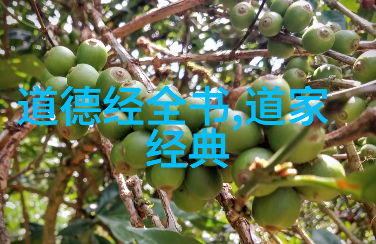 浪漫古诗词 - 缠绕心头的月下花影