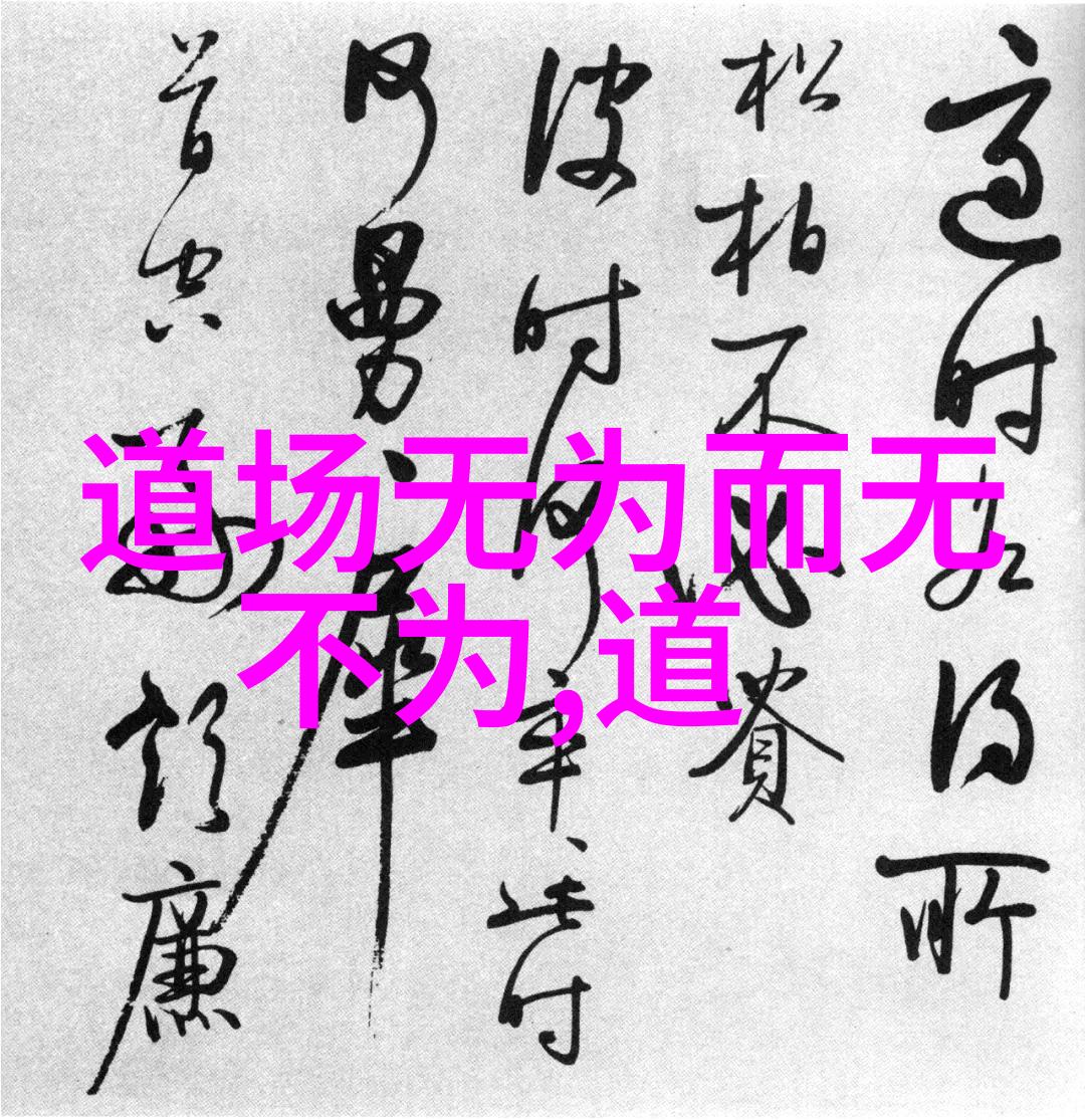 超越物质追求拥抱精神层面天地中无欲的内涵解析