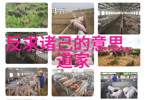 唱道真言二