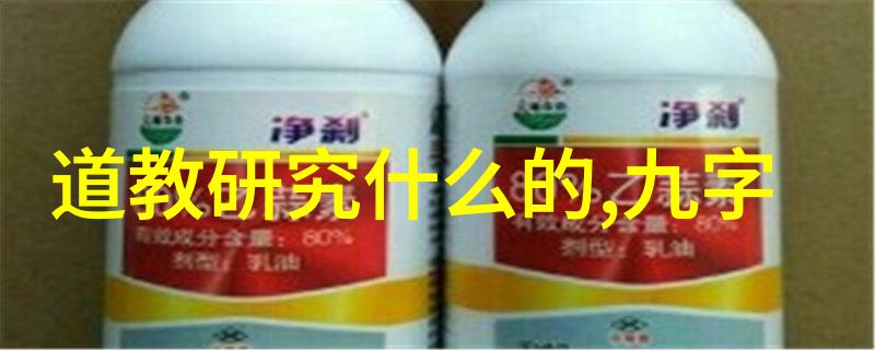新道家的代表人物探索现代道教复兴的领军人物